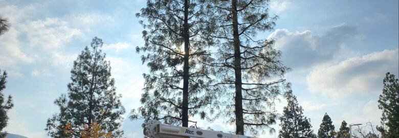 Gomez Landscape & Tree Care, Inc.